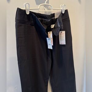 Express Charcoal Dress Pants